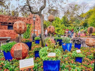 Morocco Garden.jpg