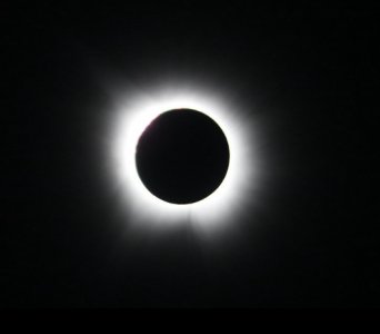 IMG_1959.jpeg