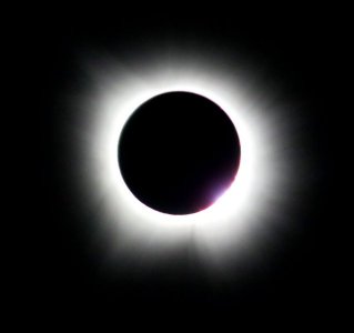 IMG_1954.jpeg