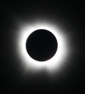IMG_1953.jpeg