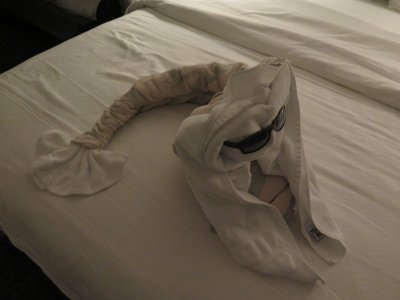 IMG_3368.JPG