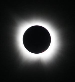 1712677021130.png