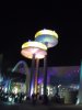 DSCF5324.JPG