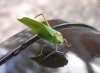 DSC_0745.JPG