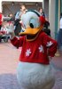 donald.jpg