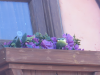 upload_2015-4-2_11-50-54.png