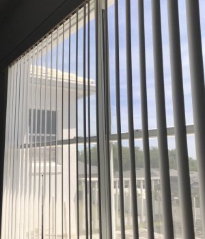 IMG_2169.jpeg