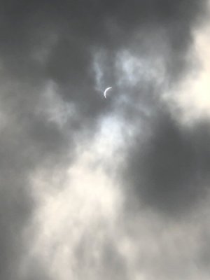 IMG_2711.jpeg