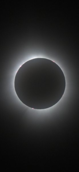 IMG_6173.jpeg