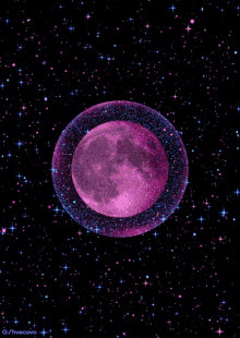 IMG_3226.gif