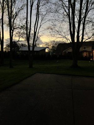 IMG_9513.jpeg