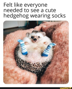 1712807383247.png