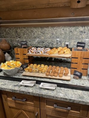 IMG_2519.jpeg