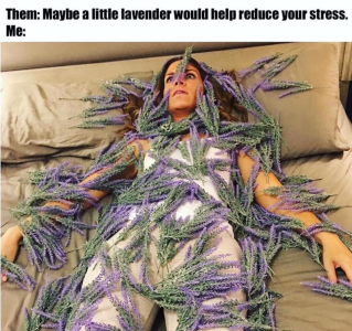 1712880927824.png