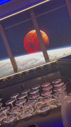 48AE5292-5A6D-4351-8F6F-0612457E855A_1_105_c.jpeg