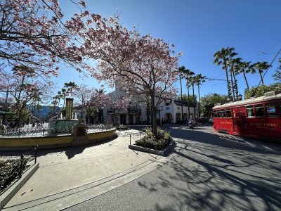 IMG_8933.jpg