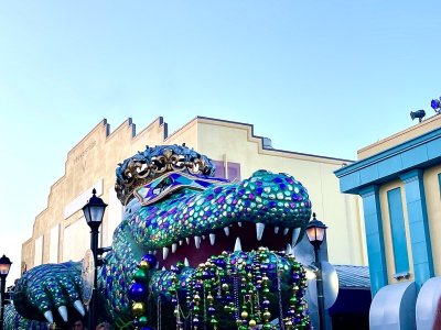 IMG_9048.jpeg