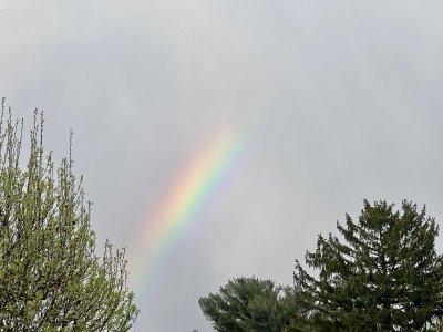 IMG_3376.jpeg