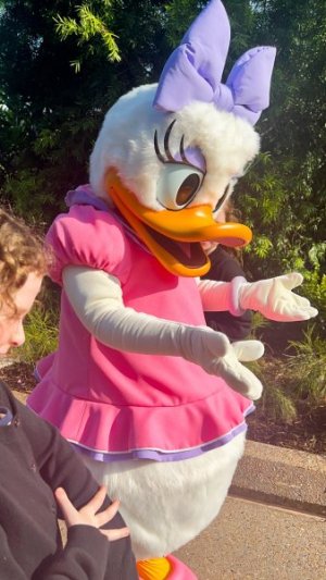 Daisy.jpg