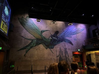 IMG_0183.JPG