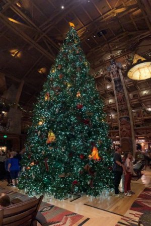 small IMG_6463.jpg