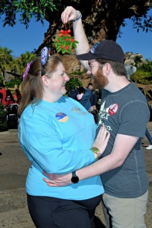 small 2023-12-18 - Disneys Animal Kingdom Park - The tree of life_6.jpg