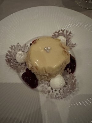 IMG_5096.jpeg
