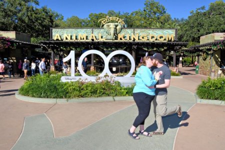 small 2023-12-18 - Disneys Animal Kingdom Park - The oasis.jpg