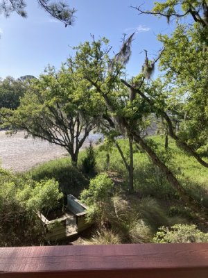 IMG_3234.jpeg