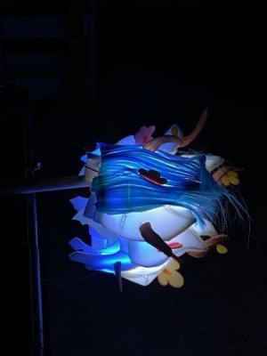 thumbnail_IMG_7080.jpg