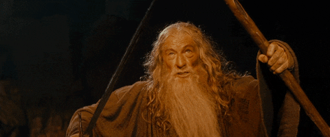 you shall not pass.gif