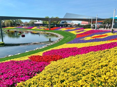Flowers.jpg