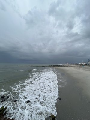 IMG_2237.jpeg