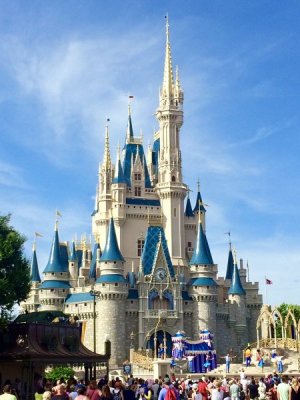 IMG_0256.jpeg