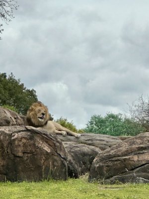 IMG_5557.jpeg