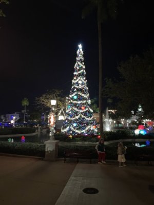 IMG_6837.JPG