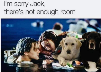1713452495663.png