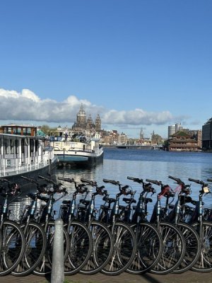 IMG_4037.jpeg
