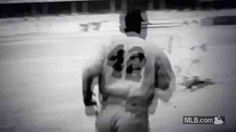 1713533012491.gif