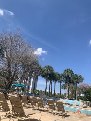 IMG_5039.jpeg