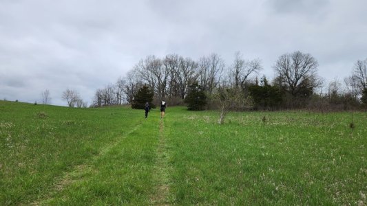 20240420_113432.jpg 20240420_113432.jpg