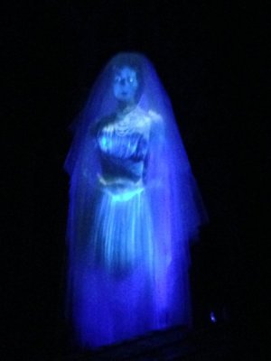 IMG_1439.JPG