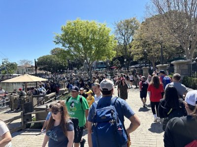 IMG_9234.jpg IMG_9234.jpg