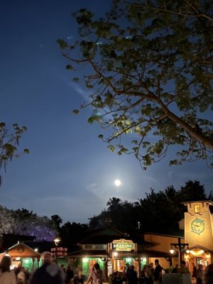 IMG_5836.jpeg