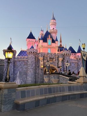 IMG_9312.jpg