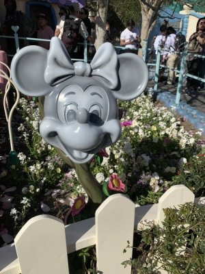 IMG_9468.jpeg