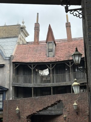IMG_1916.jpeg