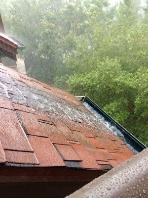 IMG_0453.jpeg