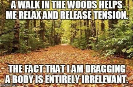 1714241595036.png