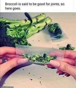 1714329155355.jpeg